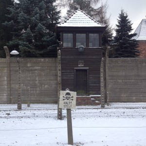 Auschwitz halt